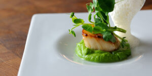 Read more about the article Molecular Gastronomy Foams Every Chef Should Try with a Smartwhip Siphon